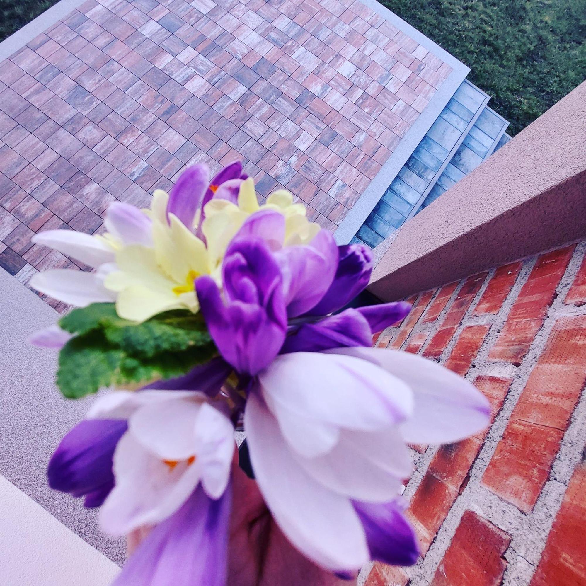 Vikendica Villa Ramona Banja Luka Luaran gambar